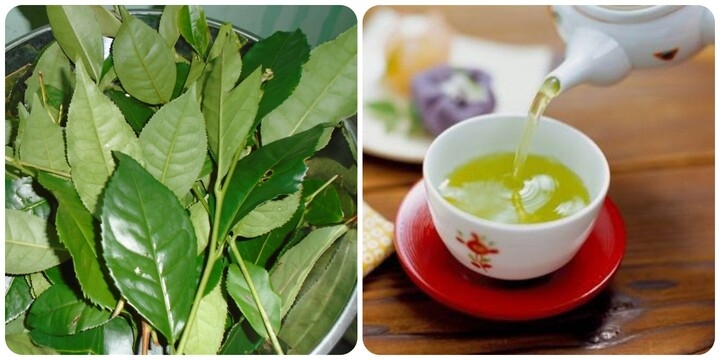 4 không khi uống nước chè xanh để không gây hại cho sức khỏe